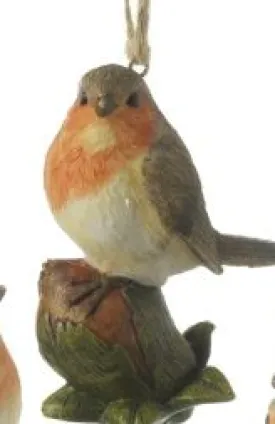 Hanging Robins Sitting On Nut